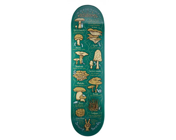 Drawing Boards Healing Series - Mushroom