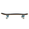Carver Skateboards - 31.75" Enigma - CX Complete