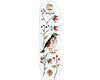 Drawing Boards Birds Series - Redwing (8.5)