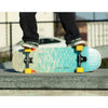Loaded Bolsa II Paris Longboard Complete