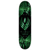 Powell Peralta FLIGHT Skeleton - 8.13" - Teal Foil by Powell Peralta